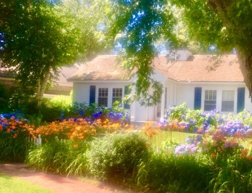 The Best Garden Rooms in Chatham: A Tranquil Escape for Every Traveler